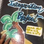 WhatsApp Image 2025-06-28 at 06.55.36